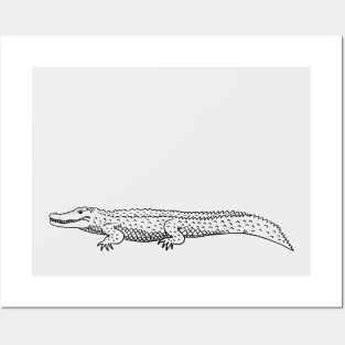 Saltwater Crocodile Posters and Art